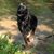 Sue Pittman's profile image