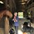 Linda Veeh Baumbach's profile image