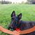 Cindy Miller's profile image