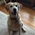 Norris Sherrill's profile image