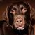 Tracey Pino's profile image