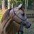 Linda Hinson's profile image