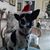 Roxanne Moran's profile image