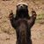 Chris Johnson's profile image