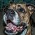 Shelly Watts-Loos's profile image