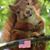 Jenn Harnish's profile image