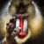 Forrest Dawson's profile image