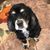 Jen Wolf Rothove's profile image