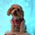 Kathy Harley-Willow McCurley's profile image