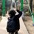Varun Mithal's profile image
