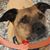 Linda Warner Stone's profile image