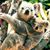 Parsha Wilder's profile image
