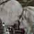 Lisa Brandenburg-Hensley's profile image