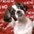 LinDen Metcalf's profile image