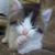 Elaine Williams's profile image