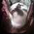 Crystal Martin's profile image