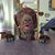 Kathy Maroney-Voerman's profile image