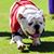 Robby Williams's profile image