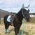 Rachel Kelling B's profile image