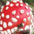 CATHLEEN F.'s profile image