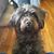 Pamella Bouie's profile image
