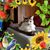 Diana Zettle Schmelzer's profile image