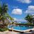 Maria Rivera's profile image