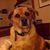 Margaret Powers's profile image