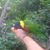 Jarrod Schneider's profile image