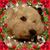 Melissa Block's profile image