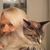 Connie Garcia's profile image