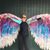 Carol Malicki's profile image