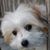 Bob McKeon's profile image