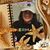 Sandra Gutierrez's profile image