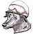 Brian Thomas's profile image