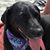 David Reinert's profile image