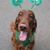 Valerie Mahoney's profile image