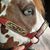 Monica Coleman Gase's profile image