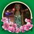 Gail Rayner's profile image
