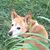 Kathy Milliman Kincheloe's profile image