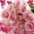 Nuzhat Mairaj's profile image