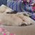 Jessica Bargery's profile image