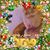Judy Jordan's profile image