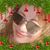Adellee Paala's profile image