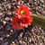 Helen J Goodale's profile image