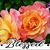 Patricia Grant's profile image