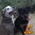 Charlie Case's profile image