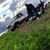 Briston Faris's profile image