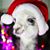 Wiley Koochka's profile image