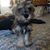 Dawn Melamed's profile image